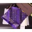 AAA Louis Vuitton Scarf LV0034 Violet GL00784
