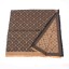 Louis Vuitton Scarf WJLV079-8 GL03372