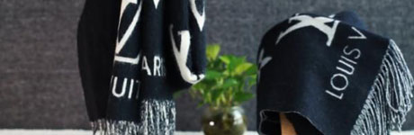 Louis Vuitton Scarf